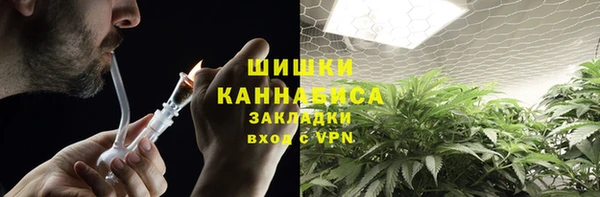 амф Аркадак