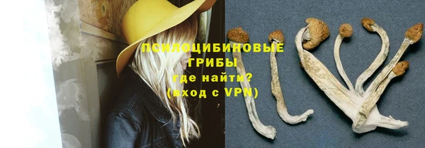 амф Аркадак