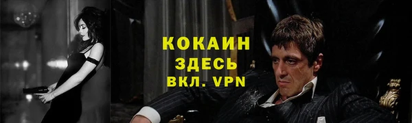 амф Аркадак