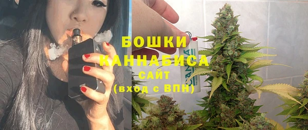 амф Аркадак