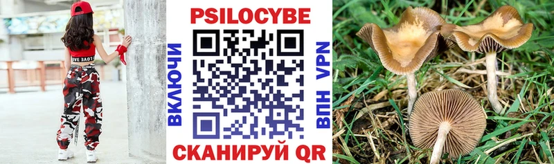 где купить   гидра рабочий сайт  Галлюциногенные грибы мухоморы  Мурманск 