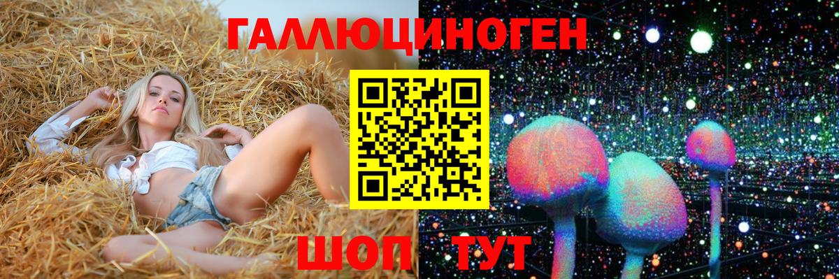 Галлюциногенные грибы GOLDEN TEACHER Мурманск